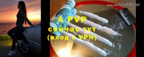 стаф Богданович
