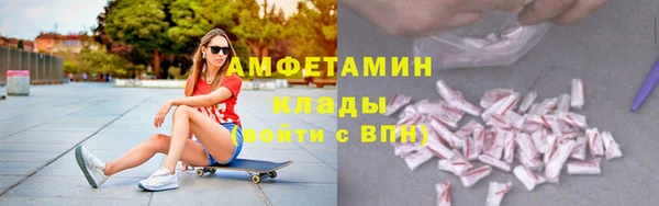стаф Богданович