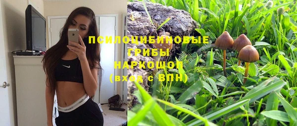 винт Богородск