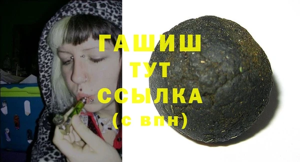стаф Богданович