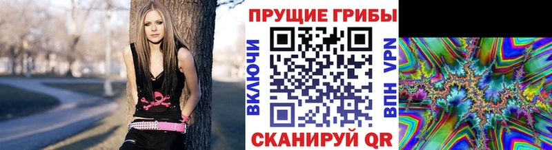 KRAKEN ССЫЛКА  хочу наркоту  Нелидово  Галлюциногенные грибы прущие грибы 